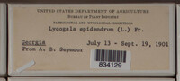 Image Associated With the Occurence